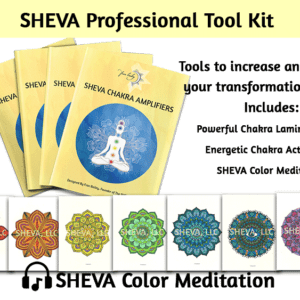 SHEVA Professional Tool Kit