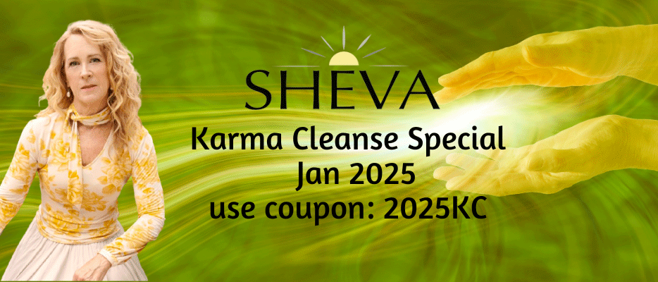 Karma-Cleanse-promo